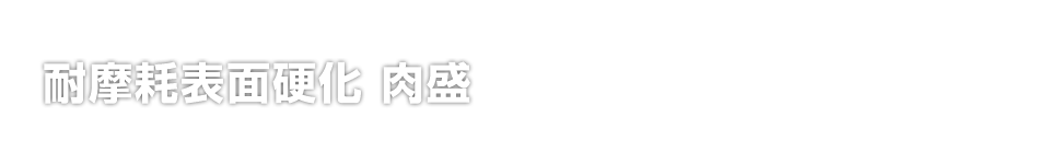 対摩耗表面硬化 肉盛